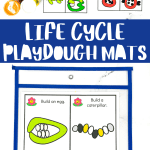 life cycle playdough mats