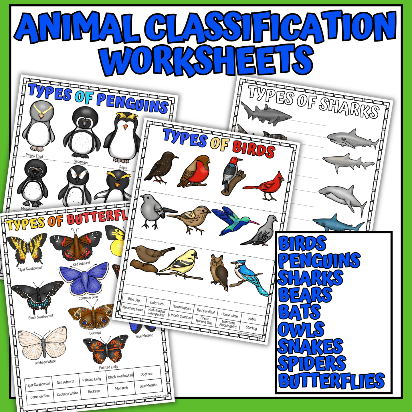 animal classification worksheets