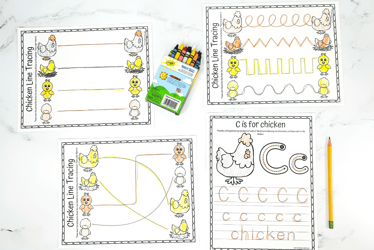 chicken tracing printable