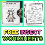 Colorful insect worksheets for kids including ant life cycle wheel, bee anatomy, butterfly tracing, and ladybug counting page.