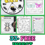 Free insect worksheets for kids with ant life cycle spinner, bee parts labeling, butterfly tracing, and ladybug math activity.