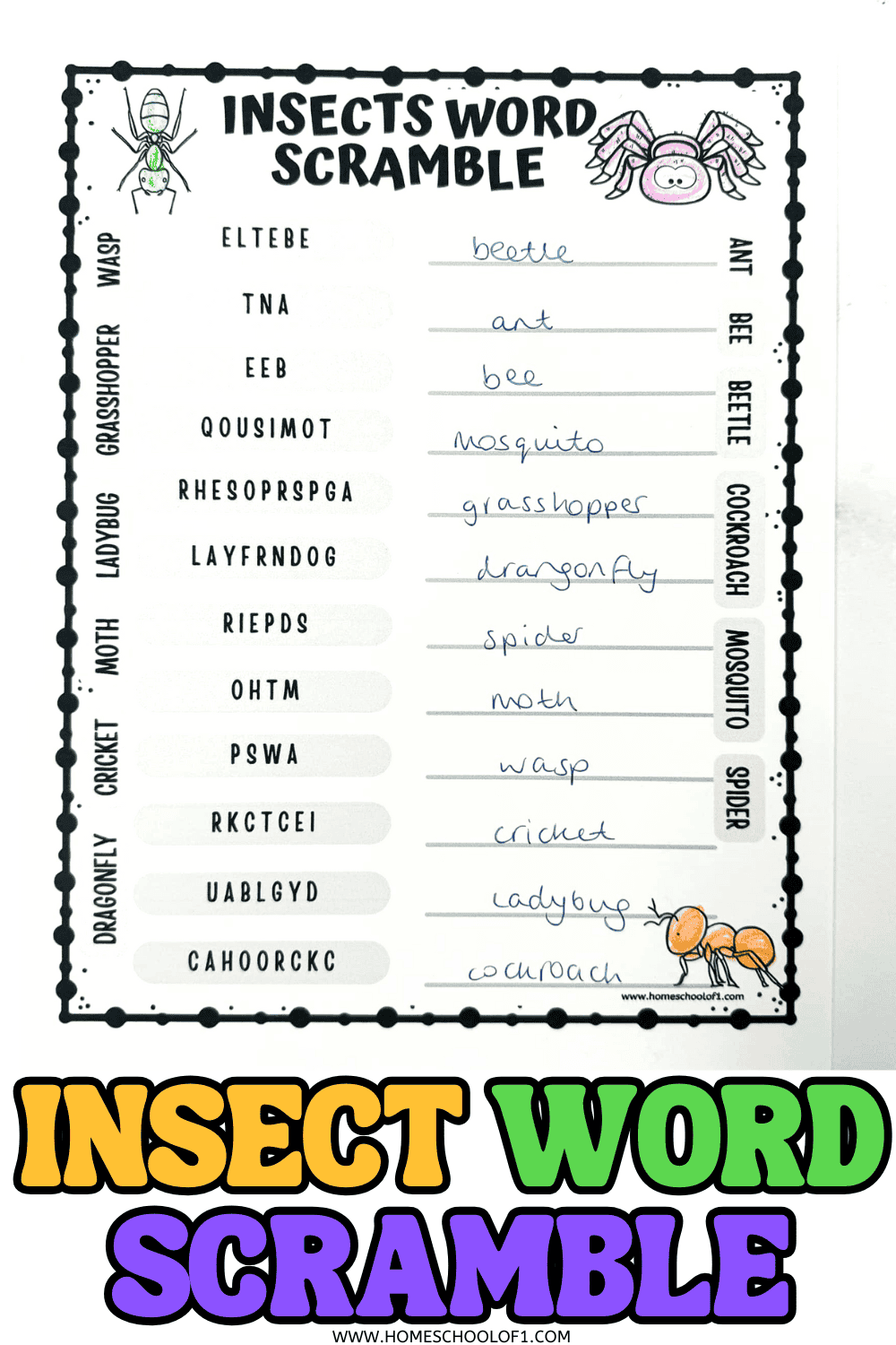 Free insect word scramble printable with 12 insect names for kids to unscramble, includes word bank and answer key.