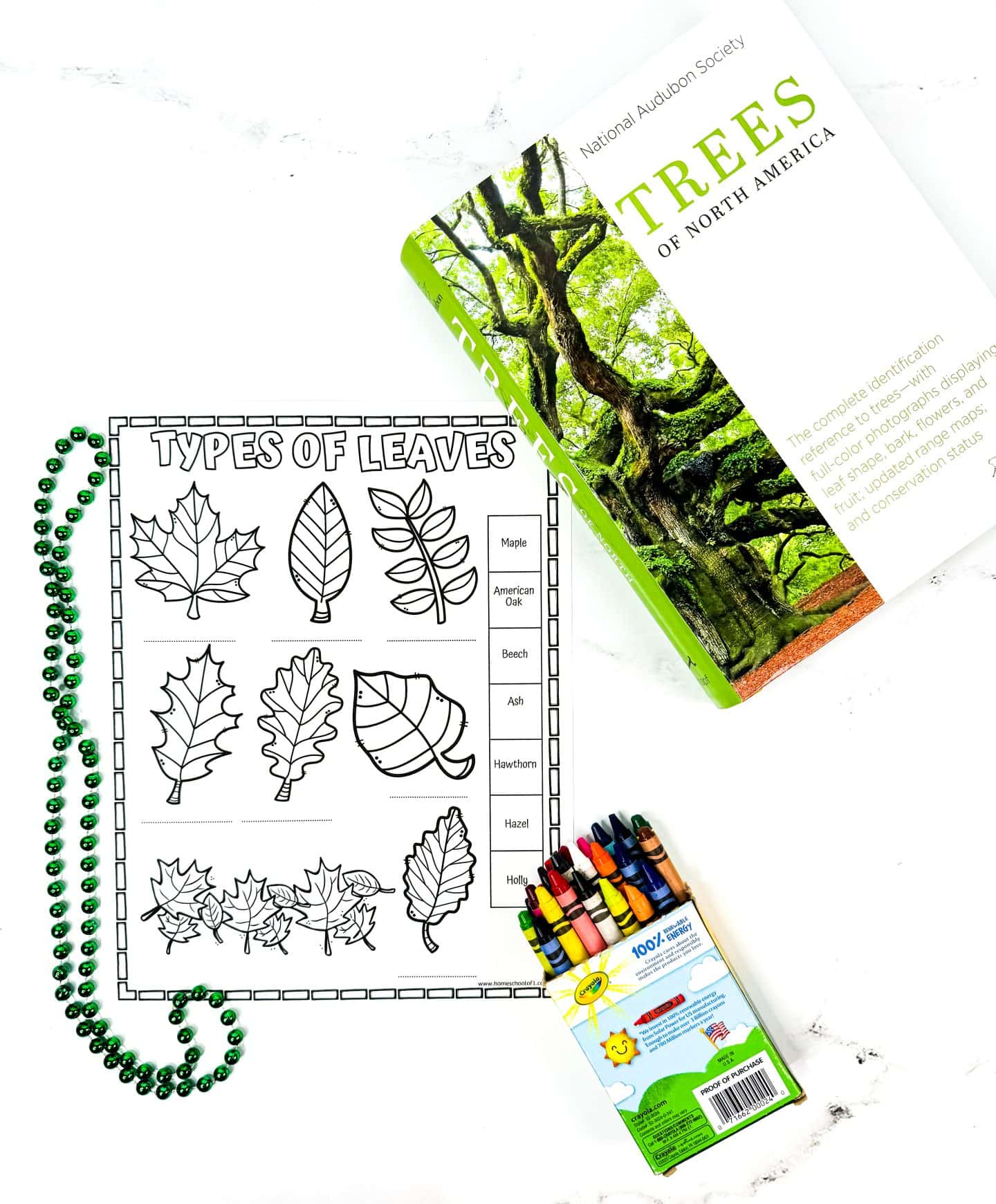 A “Types of Leaves” educational worksheet is displayed on a white surface, featuring black and white illustrations of various leaves with a matching column of tree names like Maple, Beech, and Holly. A box of crayons lies nearby for coloring, and a tree identification guidebook titled Trees of North America by the National Audubon Society is included, making this a great hands-on nature activity for kids.