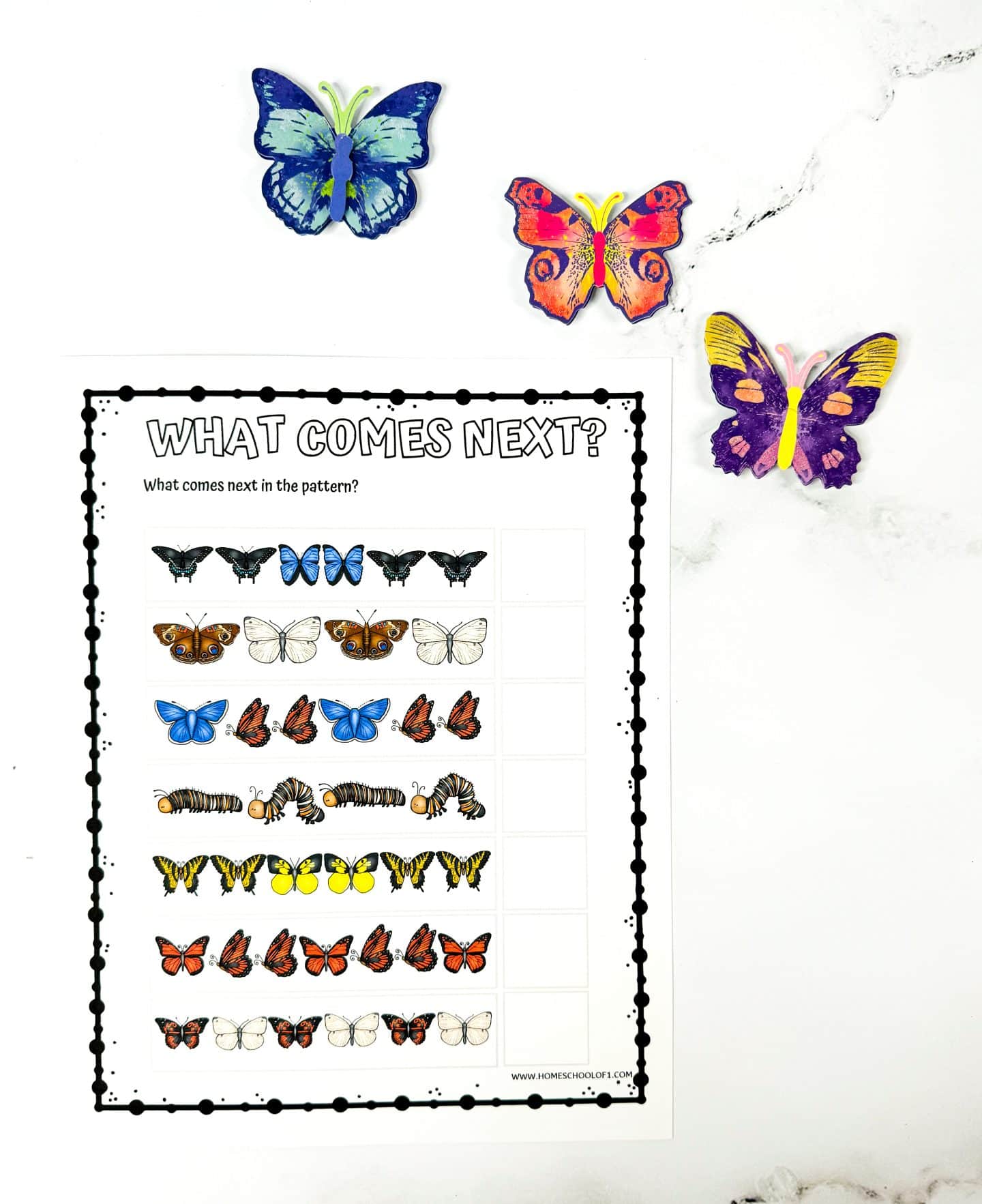 what comes next butterfly worksheet