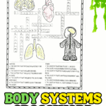Printable human body systems crossword puzzle for kids with clues and answers covering digestive, circulatory, skeletal, respiratory, and other systems. Includes illustrations of the brain, heart, lungs, and skeleton.