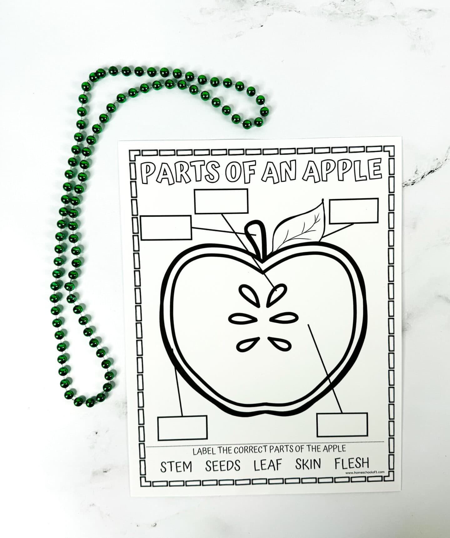 parts of an apple coloring page in black and white with label the correct parts of the apple: stem, seeds, leaf, skin, and flesh written at the bottom of the worksheet. with green beads next to it.