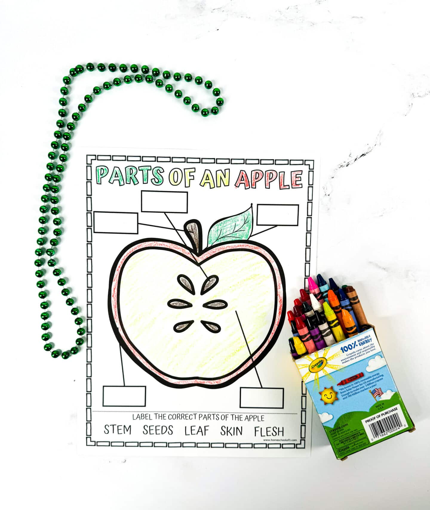 parts of an apple worksheet colored in crayola crayons which are next to the coloring page.