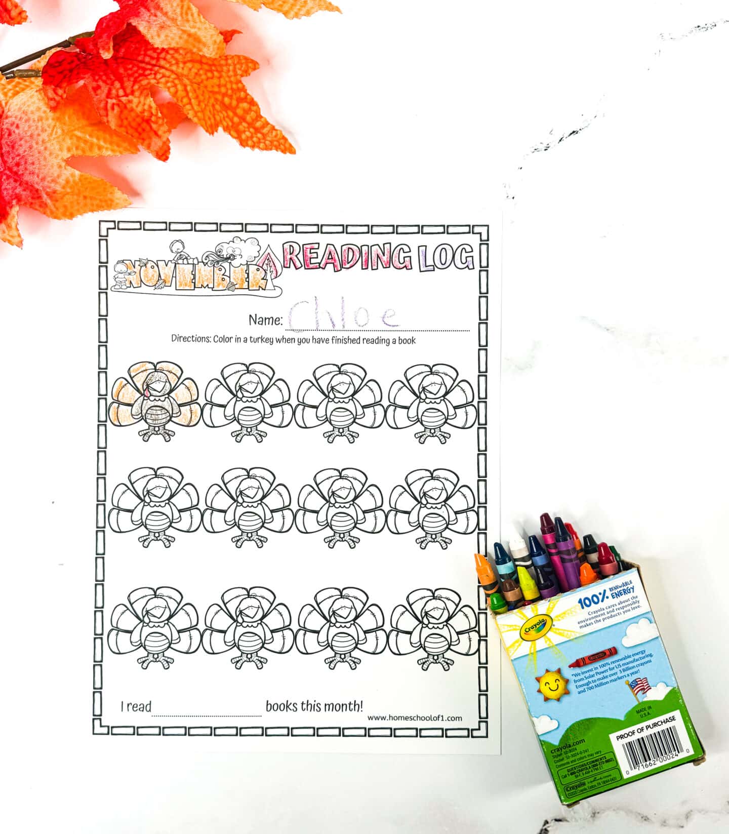 NOVEMBER READING LOG WORKSHEET