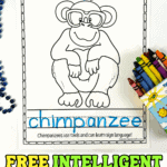 Free printable chimpanzee coloring page for kids with tracing and fun fact about how chimpanzees use tools and sign language.
