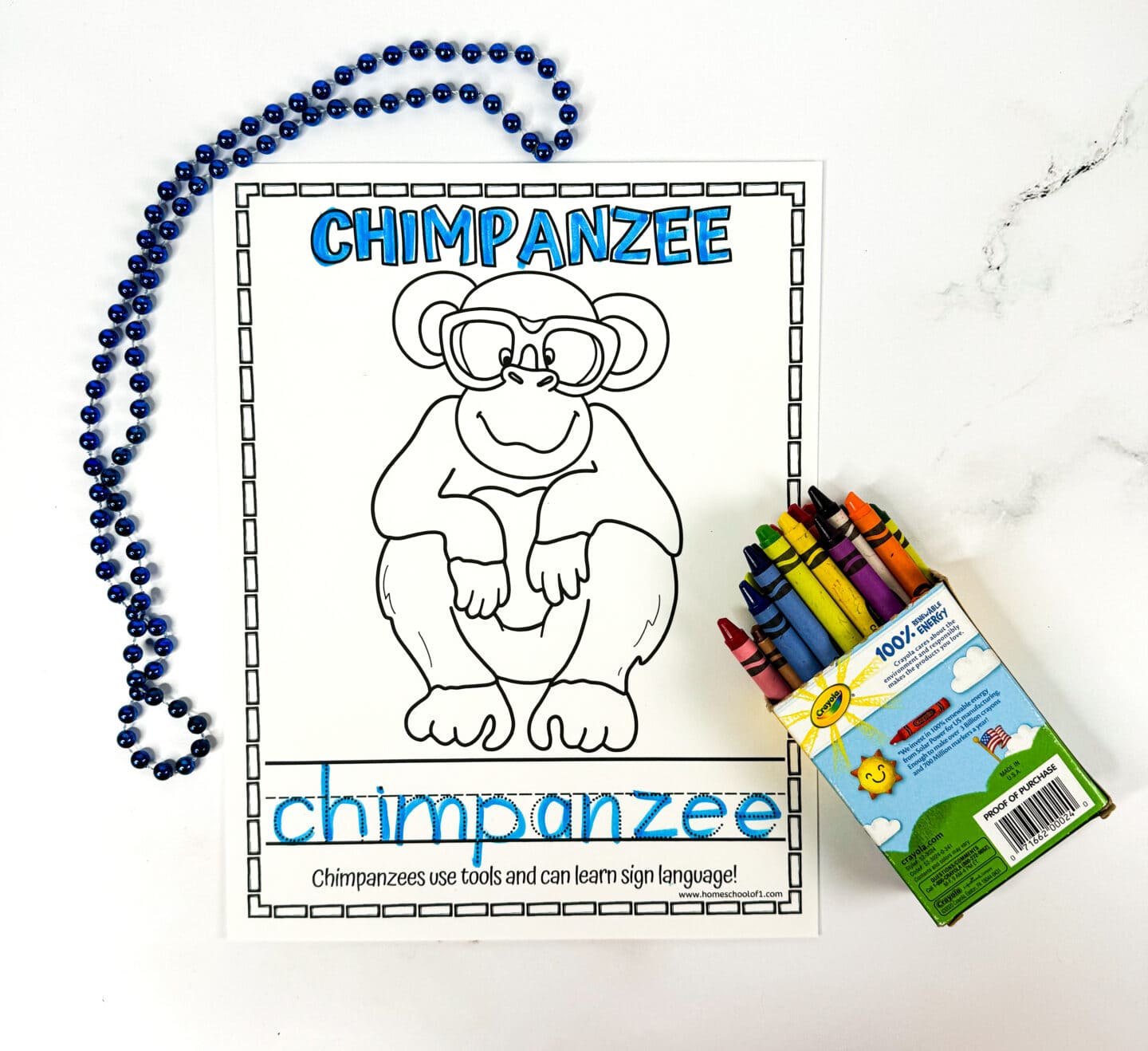 Chimpanzee coloring sheet for kids featuring a fact about tool use and sign language, shown with crayons and a beaded necklace.