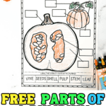 Free parts of a pumpkin worksheet with orange and green crayons nearby, showing a partially colored pumpkin labeling activity for kids.