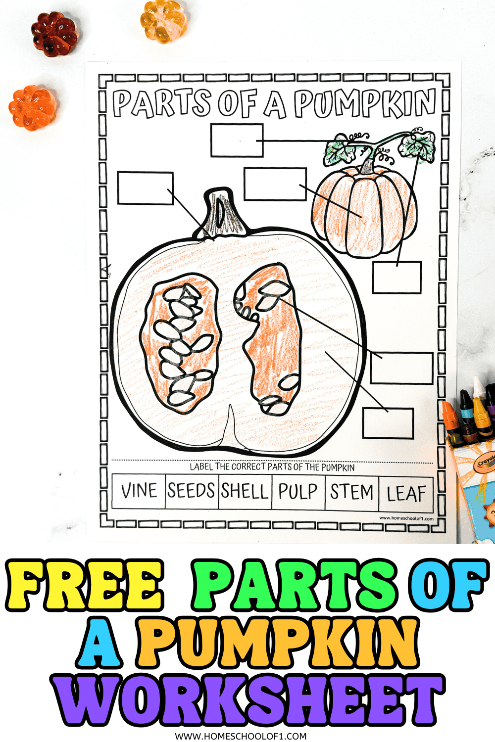 Free parts of a pumpkin worksheet with orange and green crayons nearby, showing a partially colored pumpkin labeling activity for kids.