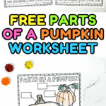Color-and-label “Parts of a Pumpkin” worksheet with crayons and candy pumpkins, perfect for a free fall learning activity at home or school.