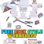 free rock cycle printable