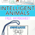intelligent animals worksheet