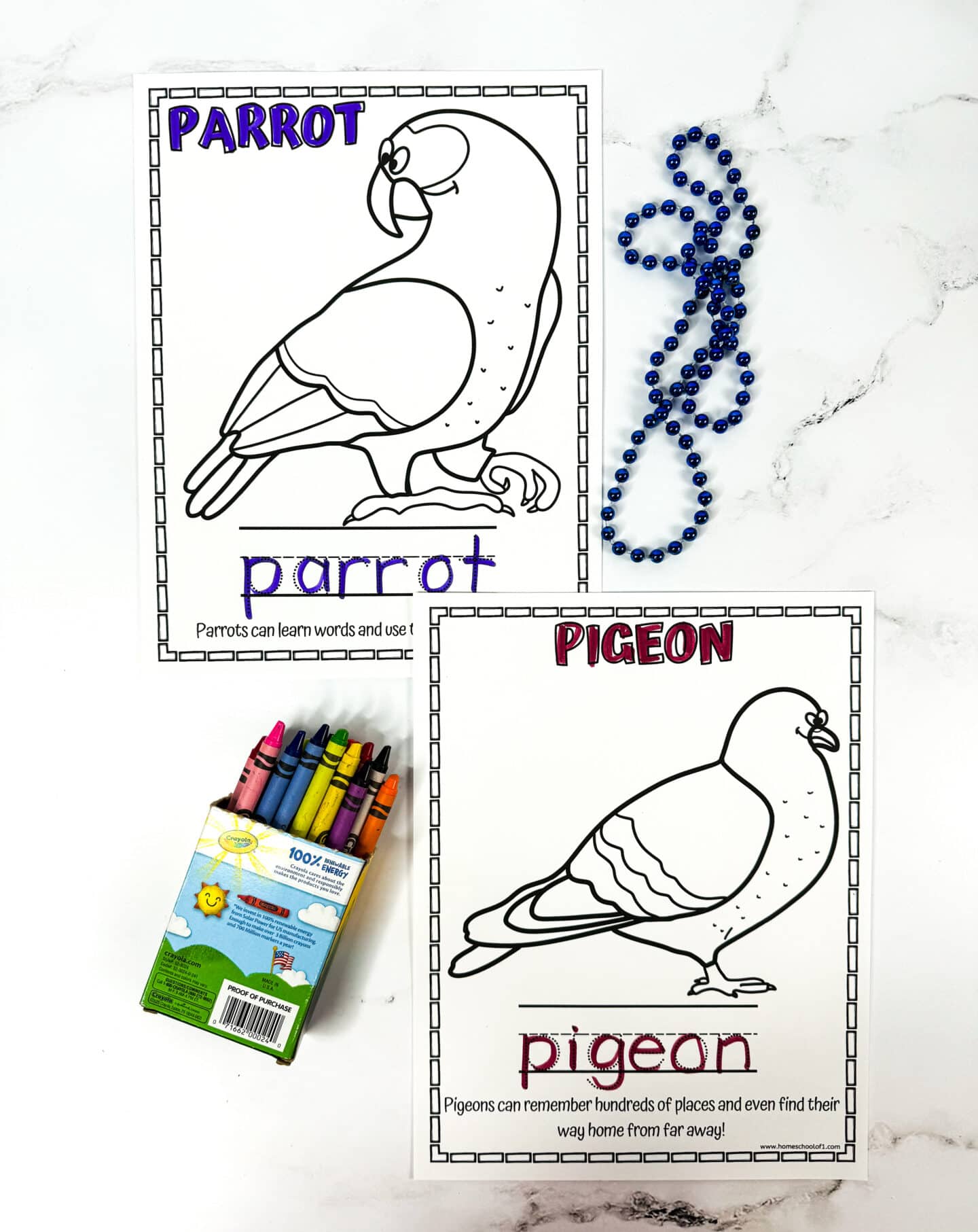Brainy bird coloring pages featuring a parrot and pigeon, with facts about word learning and long-distance memory, plus crayons on the side.