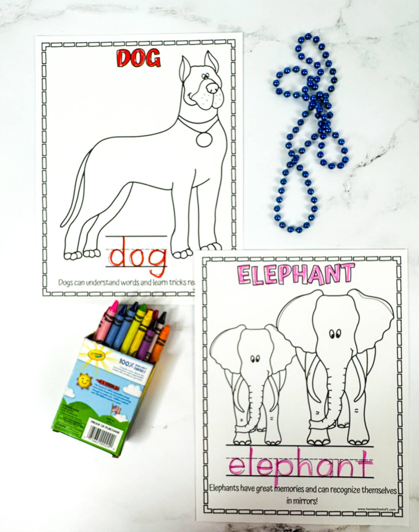 Animal intelligence coloring sheets with a dog and elephant, including fun facts about memory, word recognition, and self-awareness.