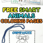 Smart animals coloring pages for kids featuring chimpanzee worksheet with crayons, tracing practice, and fun animal facts.
