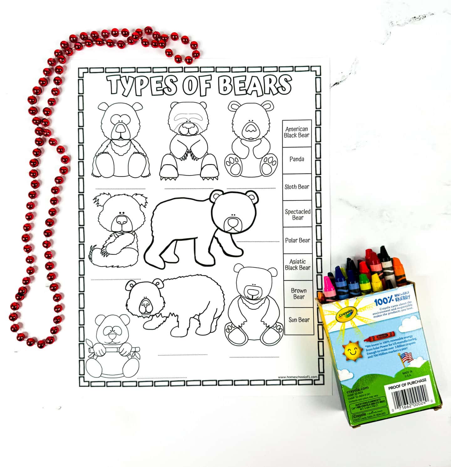 A black and white worksheet titled “Types of Bears” featuring nine outlined cartoon bears arranged in a grid. A word bank on the right lists different bear species: American Black Bear, Panda, Sloth Bear, Spectacled Bear, Polar Bear, Asiatic Black Bear, Brown Bear, and Sun Bear. Red bead necklace and a box of colorful crayons are placed beside the worksheet.