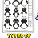 Types of penguins worksheet featuring nine illustrated penguin species with names for kids to label and color.