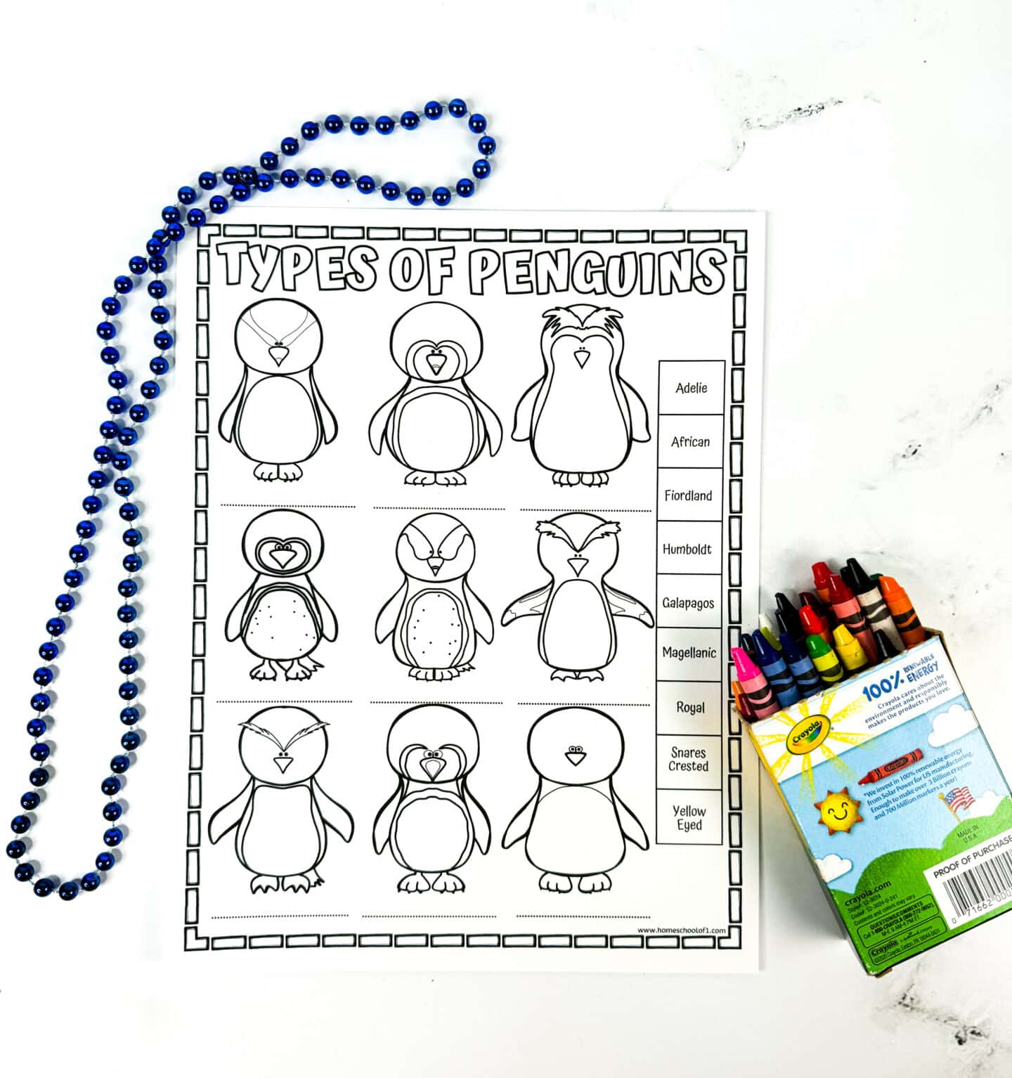 types of penguins black and white worksheet featuring adelie, african, fiordland, humboldt, galapagos, magellanic, royal, snares crested, and yellow eyed penguins. with a box of crayola crayons and blue beads for decoration.