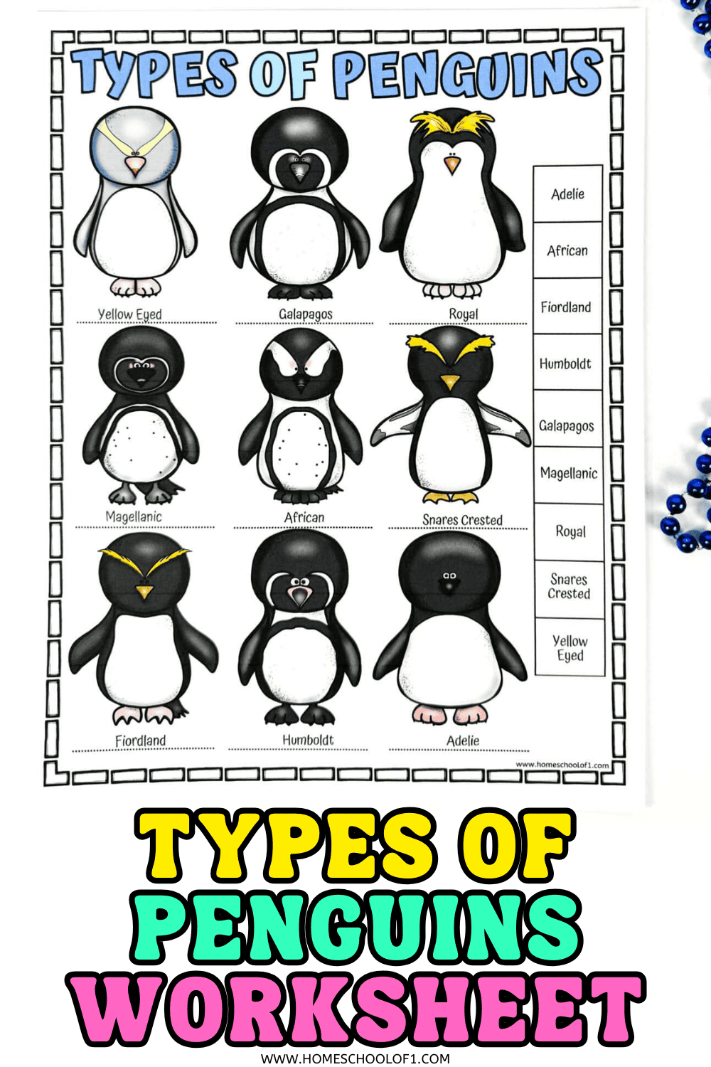 Types of penguins worksheet featuring nine illustrated penguin species with names for kids to label and color.