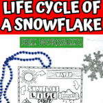 Free printable snowflake worksheets showing snowflake life cycle stages and labeled types of snowflakes.