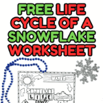 Set of two printable snowflake worksheets showing the snowflake life cycle and different snowflake shapes.