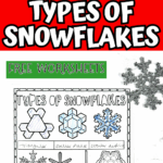 Two snowflake printables, one showing snowflake types and one showing the snowflake life cycle, with red banner.