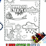Black and white printable worksheet showing the life cycle of a snowflake with labeled stages and crayon box.