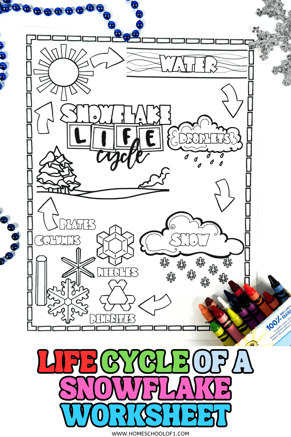 Black and white printable worksheet showing the life cycle of a snowflake with labeled stages and crayon box.