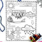 Winter-themed printable worksheet with snowflake life cycle images and colorful border labeled as free printable.