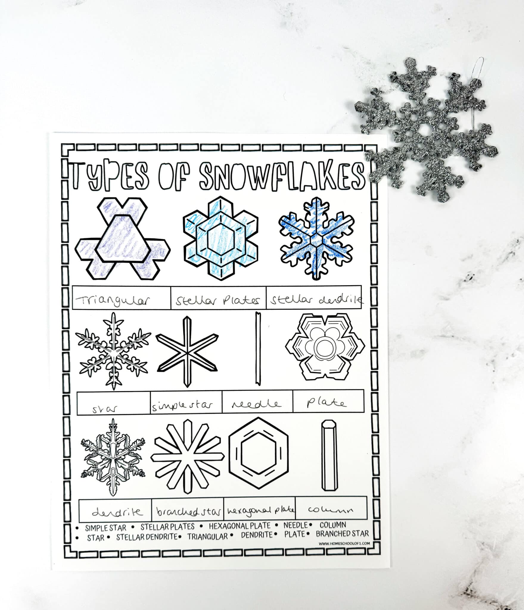 Free Snowflake Life Cycle Worksheet - Types Of Snowflakes Worksheet 1759x2048 