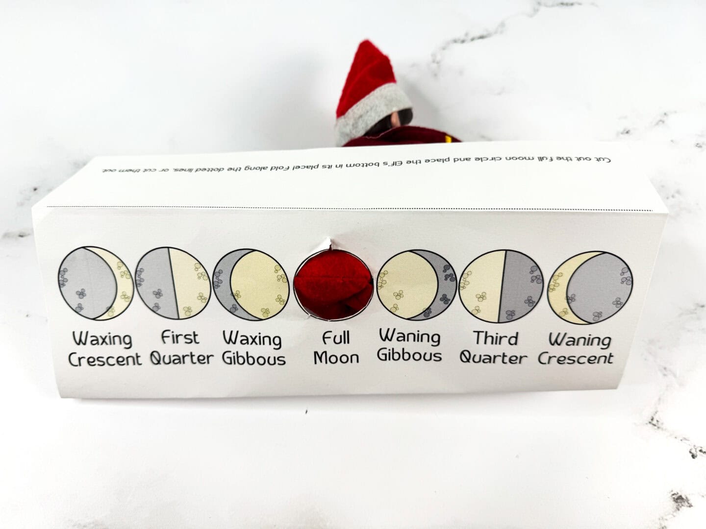 A completed phases of the moon printable folded into a stand-up display, with an Elf on the Shelf peeking through a circular cutout at the "Full Moon" position. The chart shows seven labeled moon phases: Waxing Crescent, First Quarter, Waxing Gibbous, Full Moon, Waning Gibbous, Third Quarter, and Waning Crescent. The elf's red hat and face are partially visible behind the cutout, creating a playful holiday-science combo.

