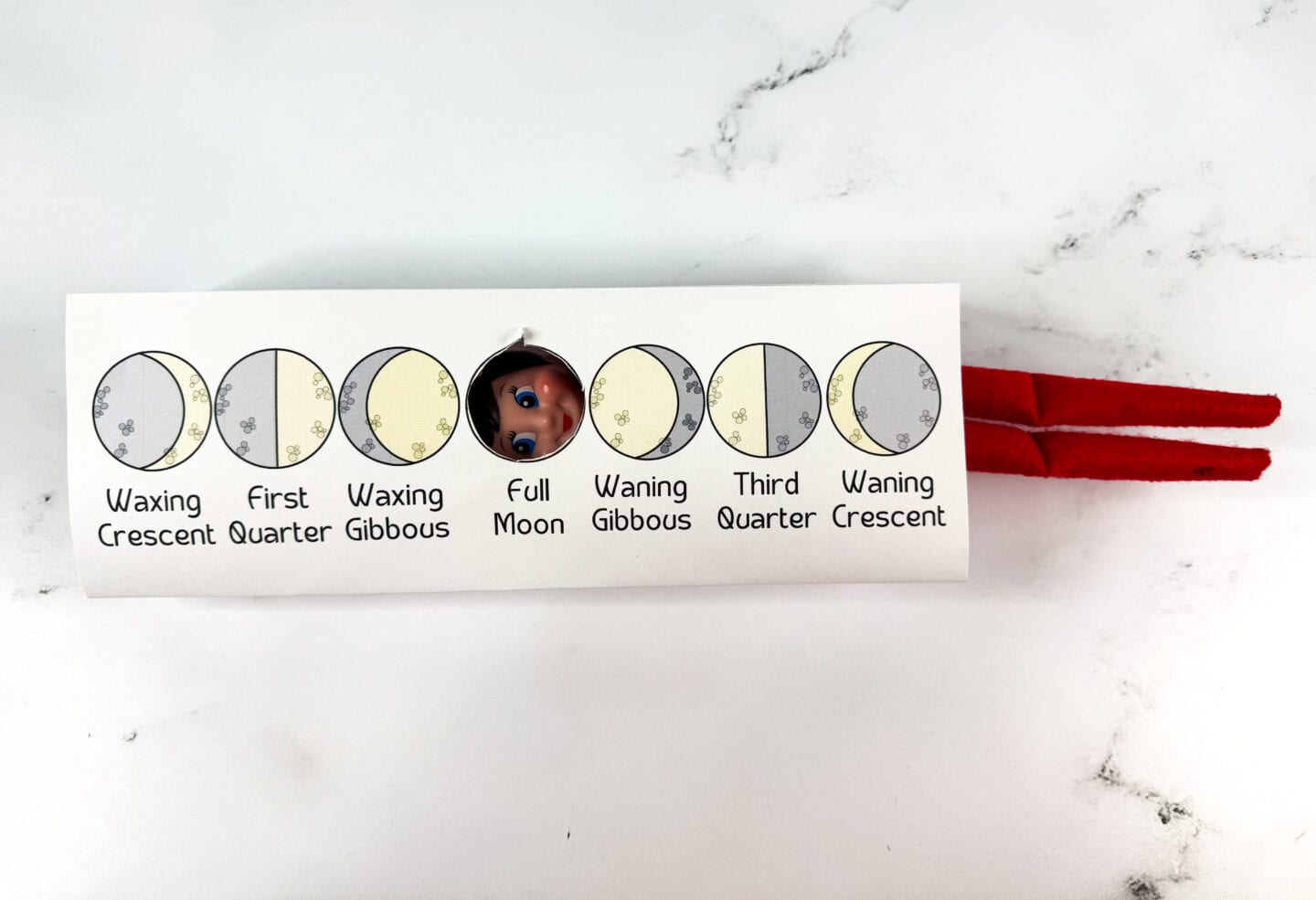 A folded moon phases printable featuring seven labeled lunar stages, with an Elf on the Shelf's face peeking through the cutout labeled “Full Moon.” The elf’s red legs extend to the right, adding a festive and playful twist to the educational display. Each moon phase is illustrated with a simple graphic and labeled: Waxing Crescent, First Quarter, Waxing Gibbous, Full Moon, Waning Gibbous, Third Quarter, and Waning Crescent.

