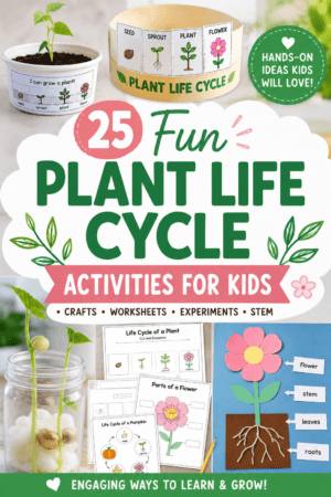 Plant Life Cycle Activities For Kids | Worksheets, Crafts and STEM