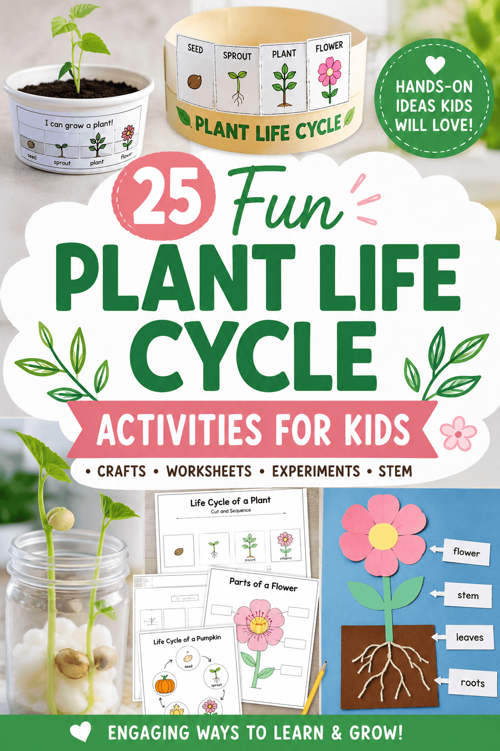 Plant life cycle activities for kids featuring bean seed germination, plant growth worksheets, flower crafts, a plant life cycle hat, STEM experiments, and hands-on science activities for preschool and elementary students.