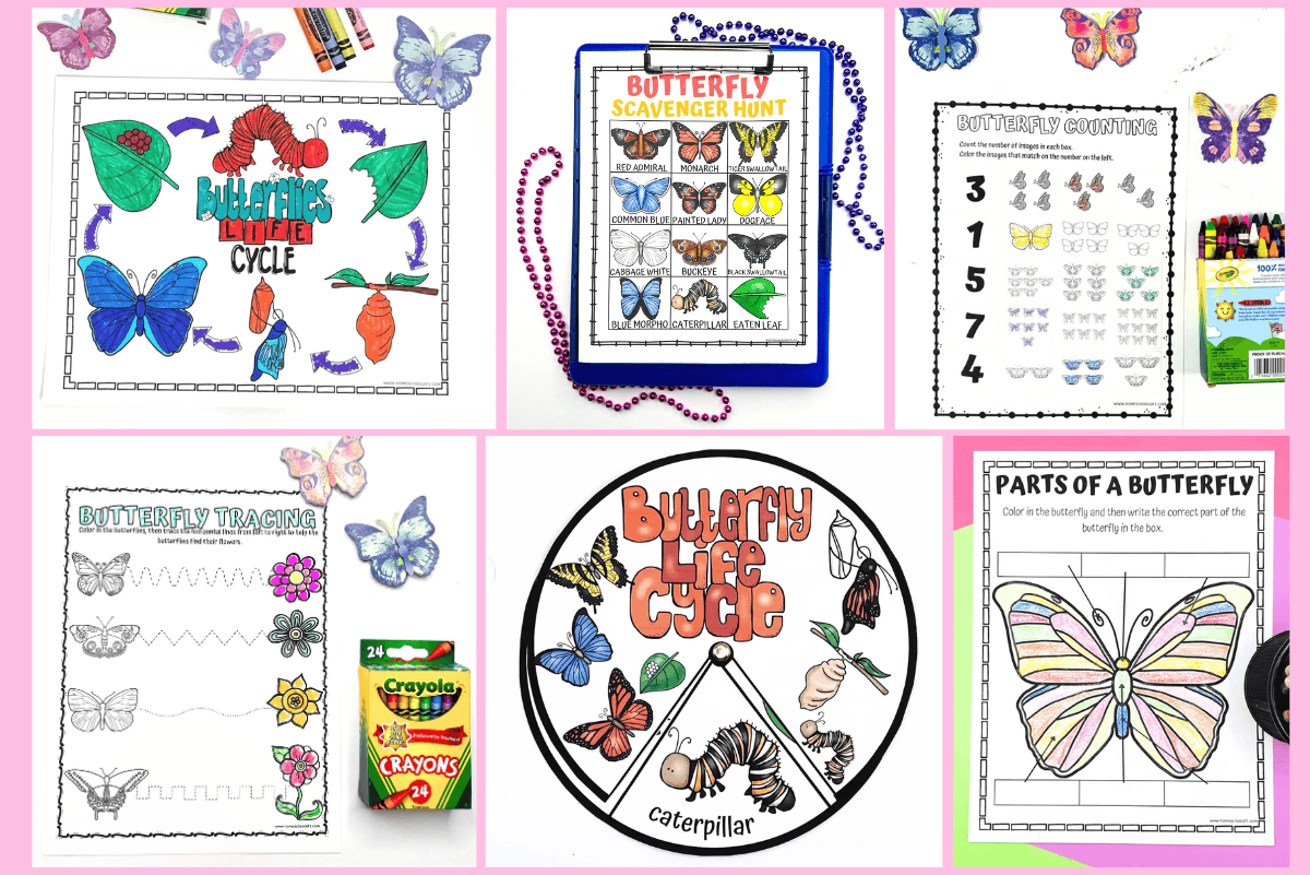 Printable butterfly worksheets including life cycle, scavenger hunt, tracing, anatomy, and counting pages for spring learning.