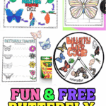 Free butterfly worksheets for kids with coloring pages, parts of a butterfly, tracing lines, counting, and science activities.