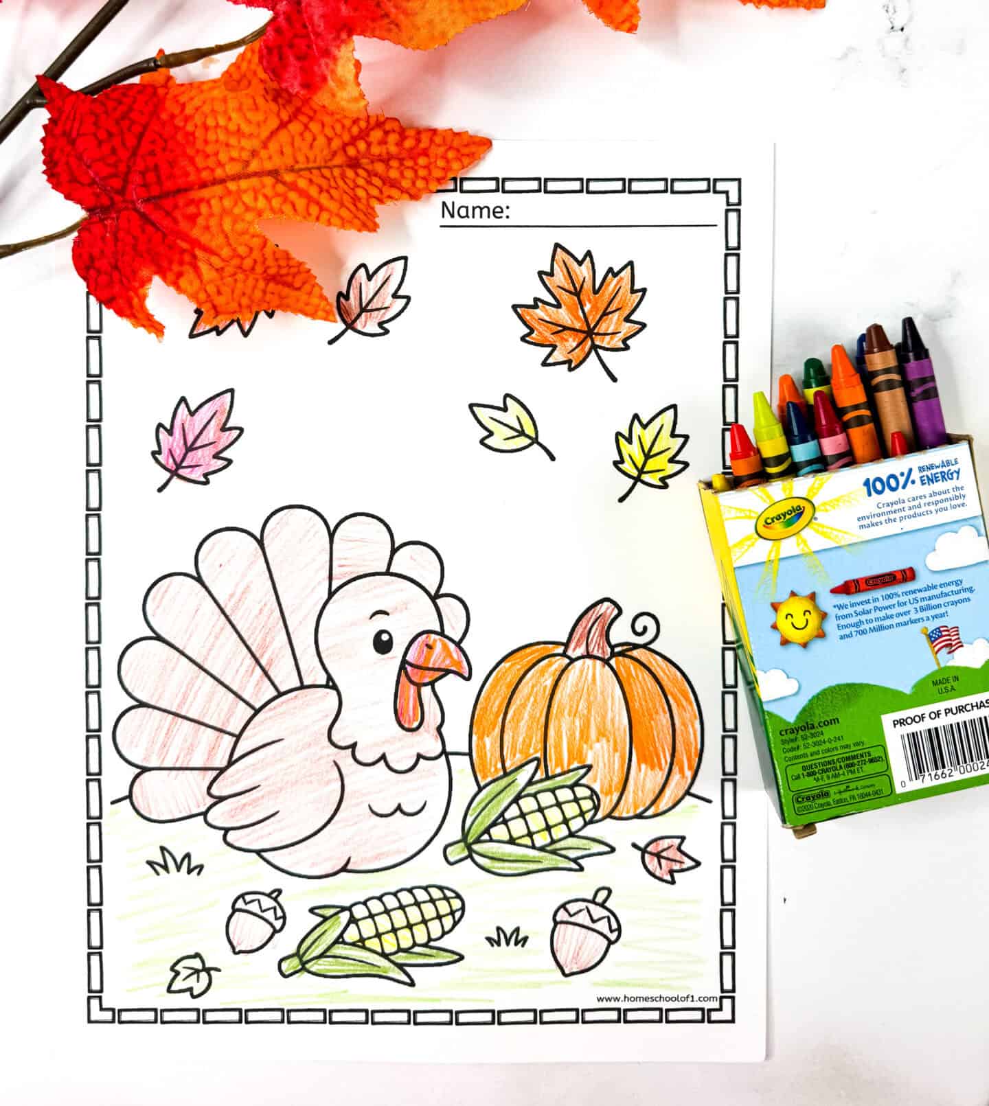 Printable turkey coloring page with a turkey, pumpkin, corn, acorns, and autumn leaves. Crayons and fall leaves in the background.