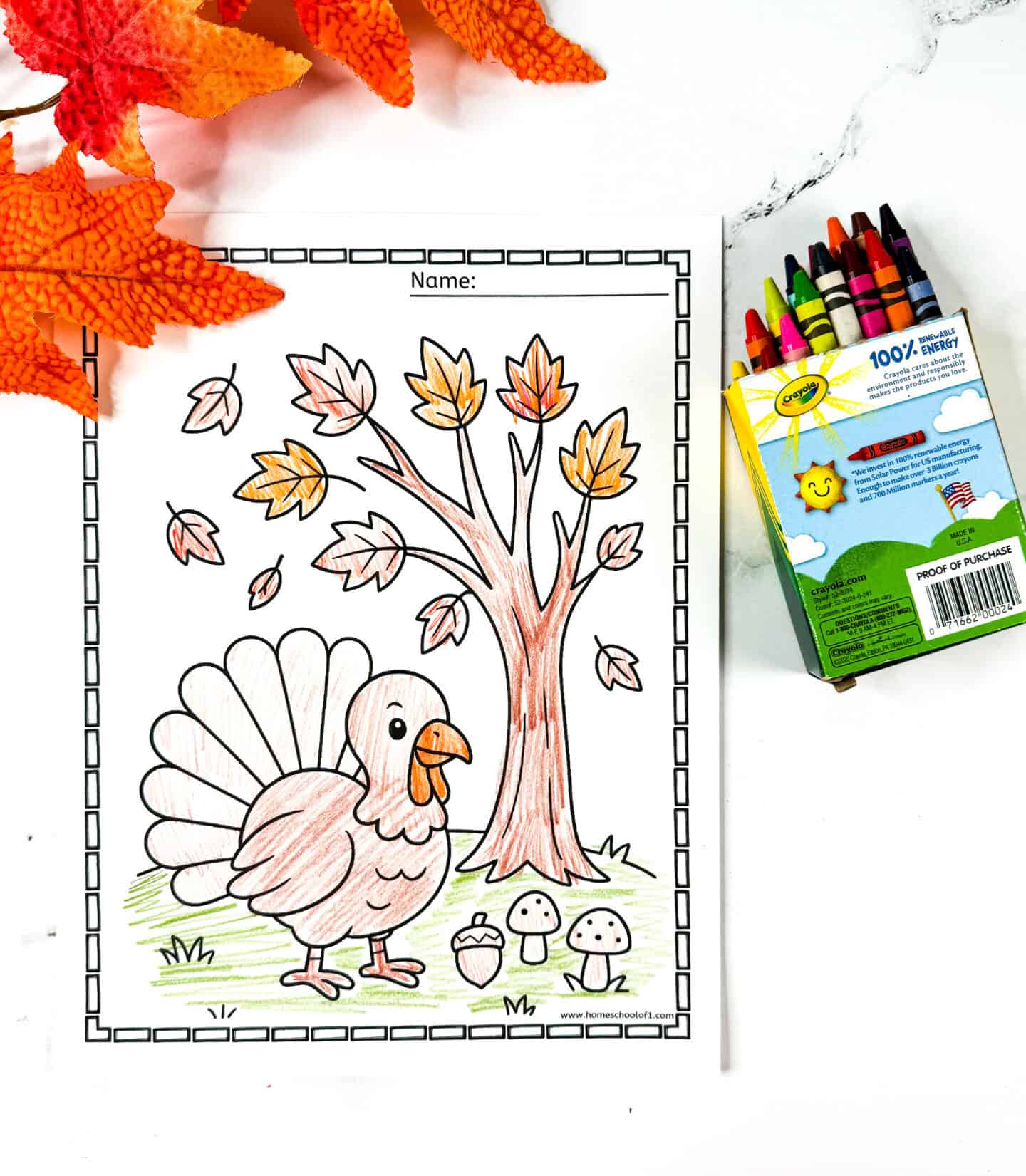 Turkey coloring page for kids showing a turkey under a fall tree with mushrooms and acorns, perfect for Thanksgiving. Crayons and fall decor included.