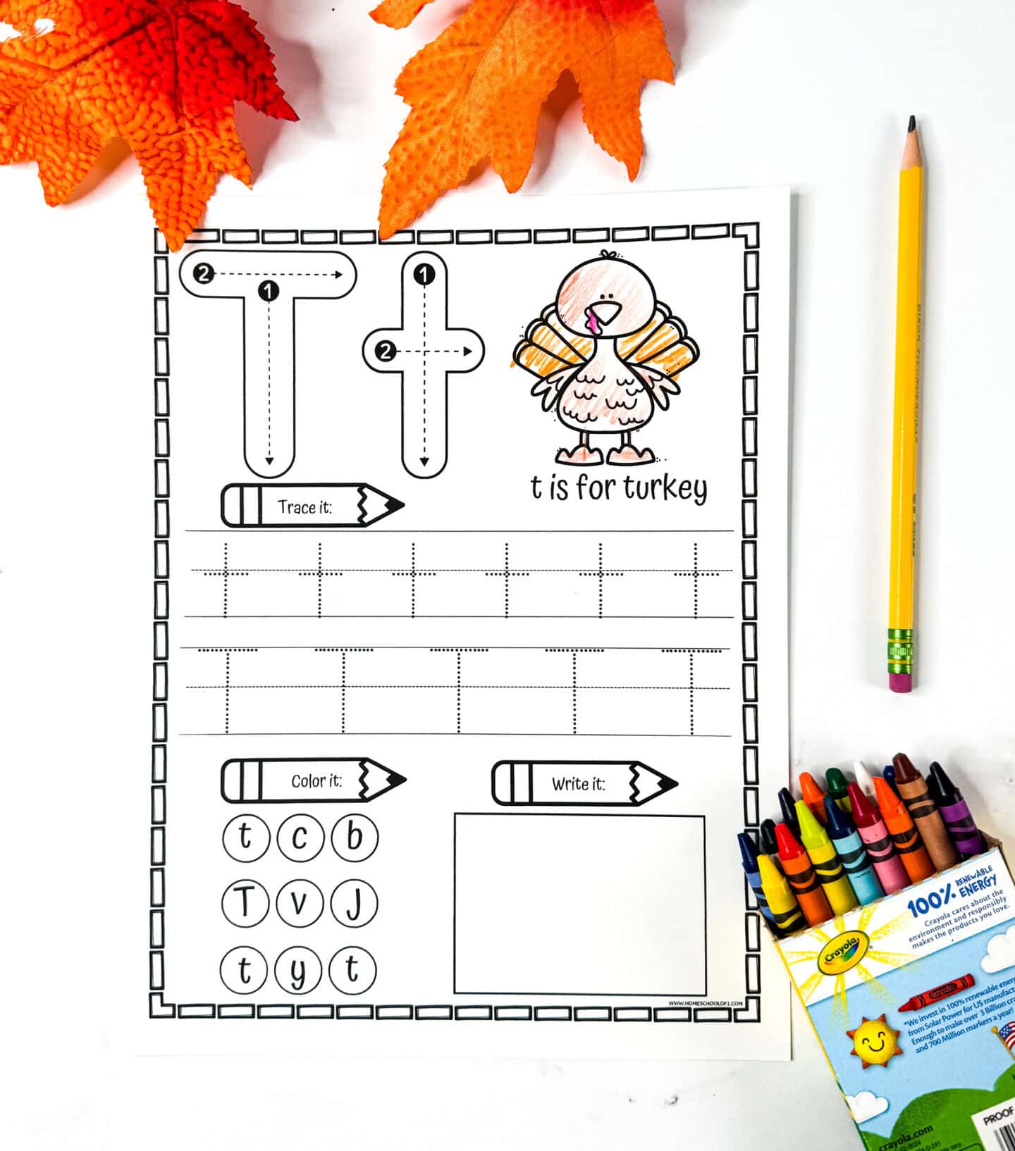 Letter T tracing worksheet with a turkey image, structured tracing rows, letter spotting activity, and a writing practice section.