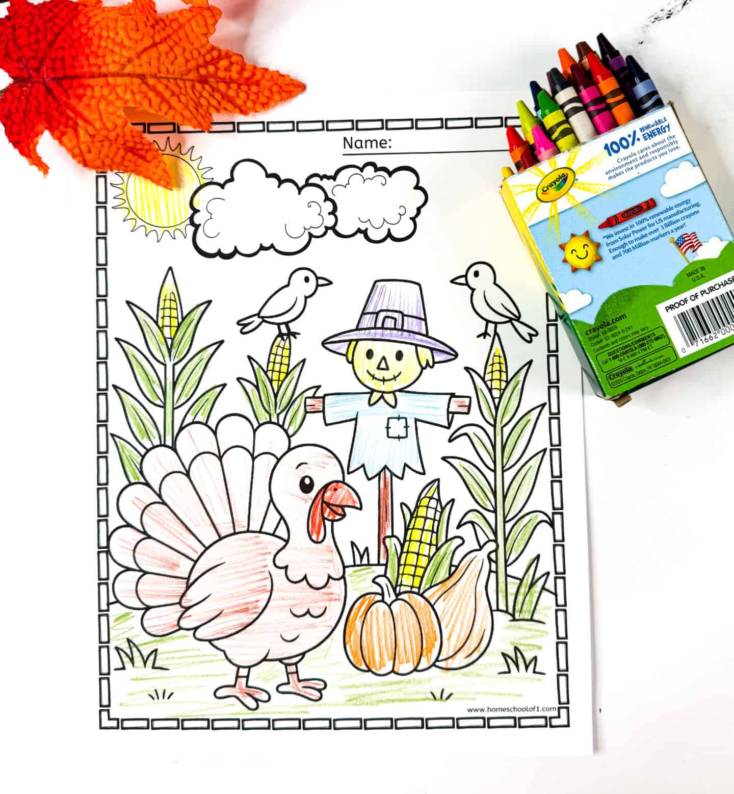 Thanksgiving coloring page featuring a turkey, pumpkins, corn, a scarecrow, and birds in a cornfield scene. Crayons and artificial fall leaves included.