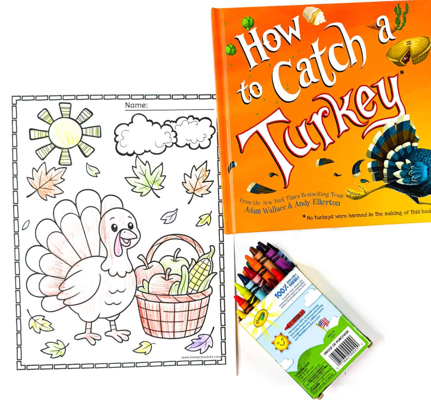 Thanksgiving turkey coloring sheet featuring a smiling turkey with a harvest basket, surrounded by fall leaves. Includes “How to Catch a Turkey” book and crayons.
