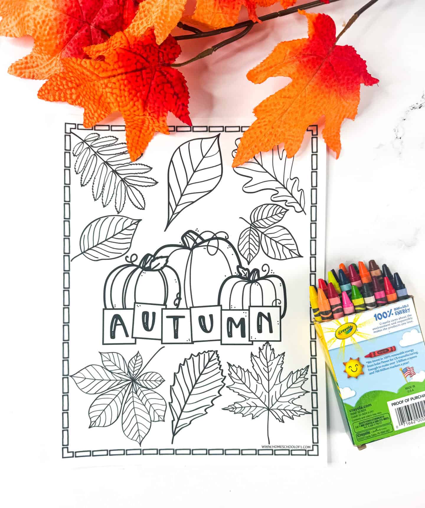 Uncolored autumn-themed coloring sheet featuring eight detailed leaf outlines, three pumpkins, and the word “AUTUMN” in bold block letters. Crayons and orange artificial leaves are placed beside the sheet.
