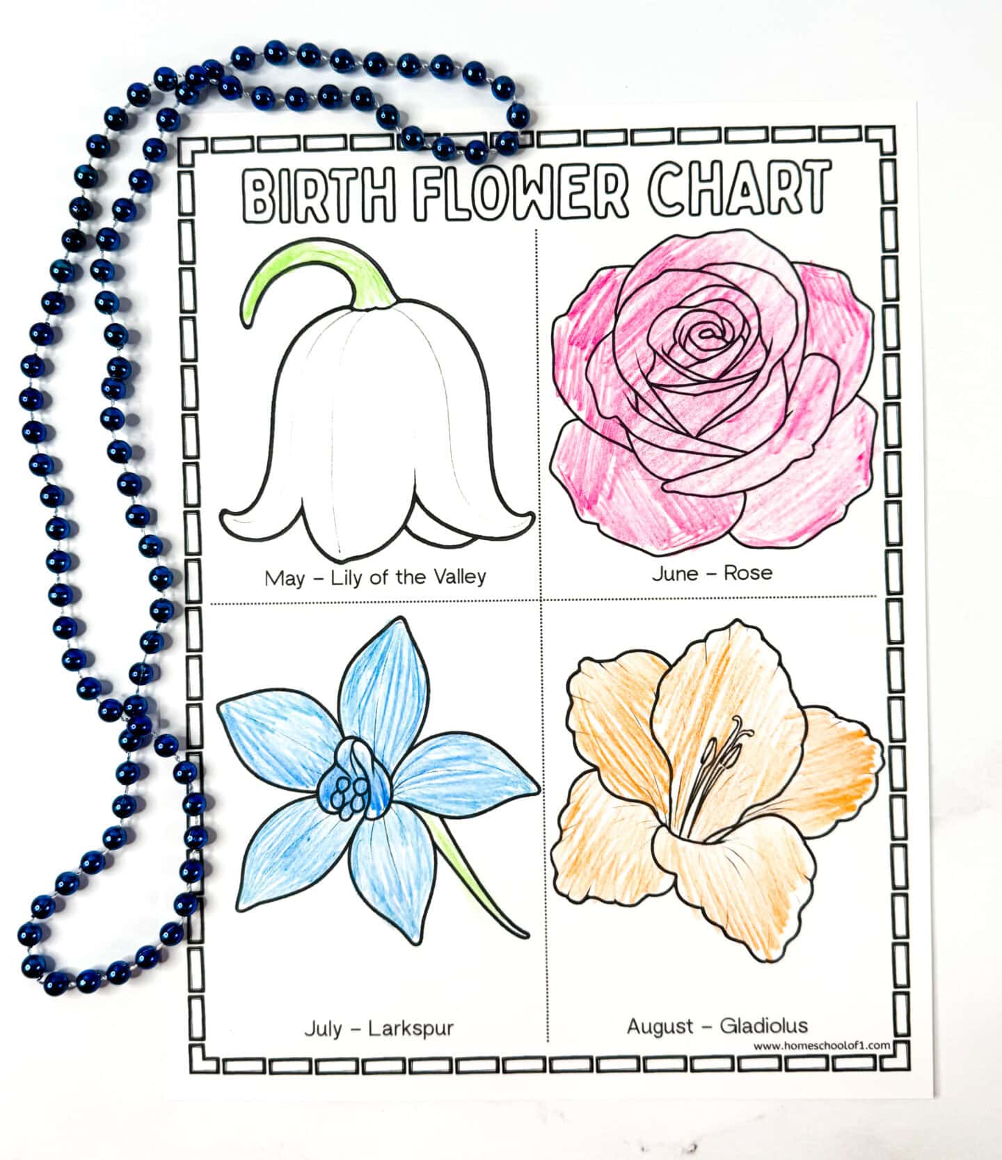 Birth flower chart featuring May (Lily of the Valley), June (Rose), July (Larkspur), and August (Gladiolus), partially colored, with a blue beaded necklace beside the page.