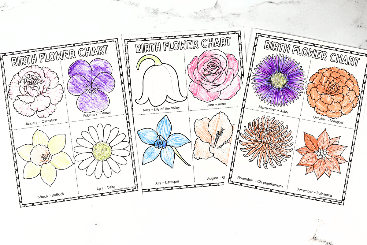 Set of three printable birth flower coloring pages showing all twelve months with labeled flowers.