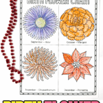 Birth flower coloring page featuring September through December flowers: aster, marigold, chrysanthemum, and poinsettia, partially colored with crayons.