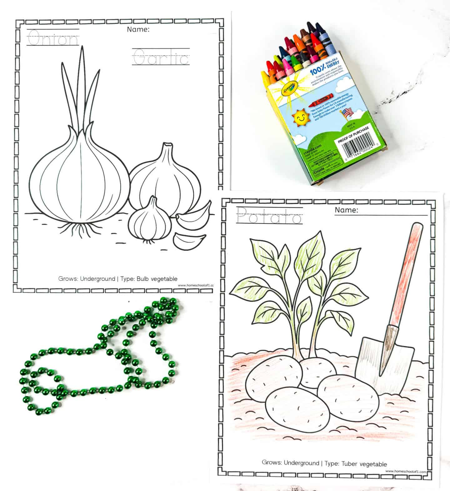 Onion, garlic, and potato vegetable coloring pages with crayons and green beads.
