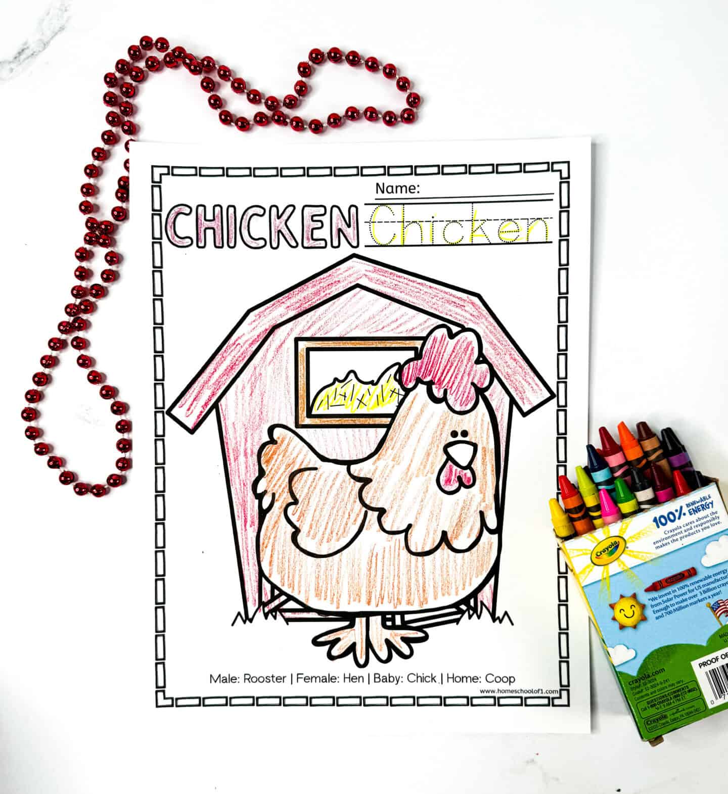 Completed chicken coloring page with bubble word “CHICKEN” in pink, traceable name, large cartoon chicken in a coop, and animal fact section listing male, female, and baby chicken names.